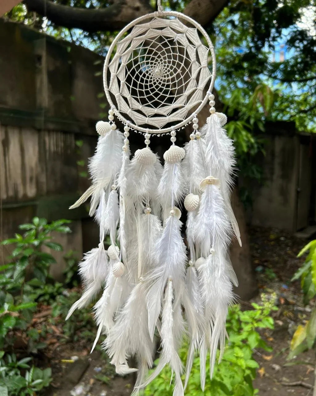Dream Catcher