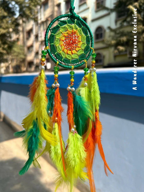Mangrove Dreamcatcher