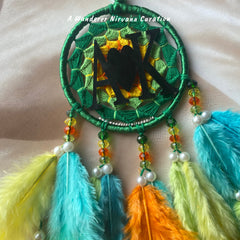 Mangrove Dreamcatcher