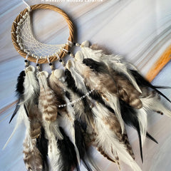 Chandini Raat Moon Dreamcatcher