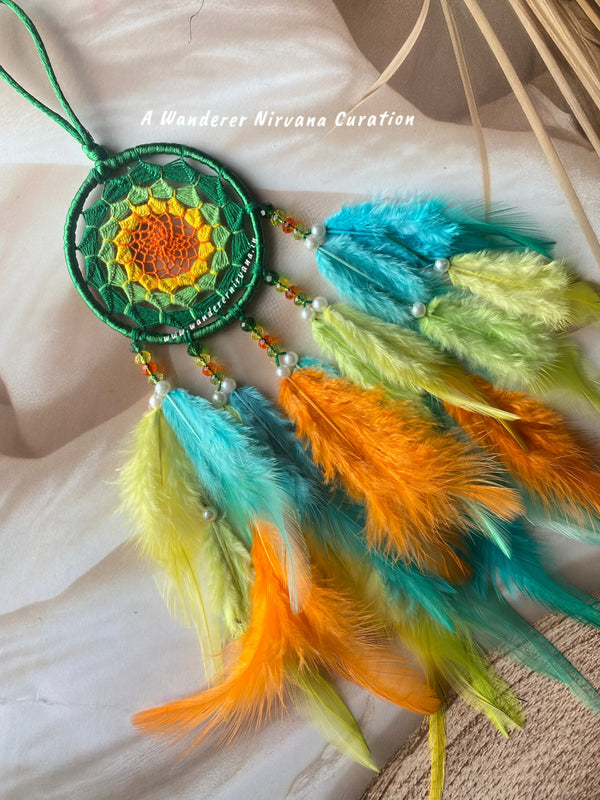 Mangrove Dreamcatcher