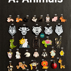 Curate Your Own Charm Rakhi