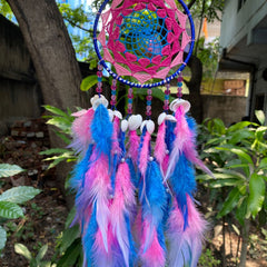 Gulneel Pahad Dreamcatcher